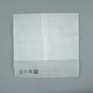 Asus CZ1000DVA Non-Woven Bag - Original